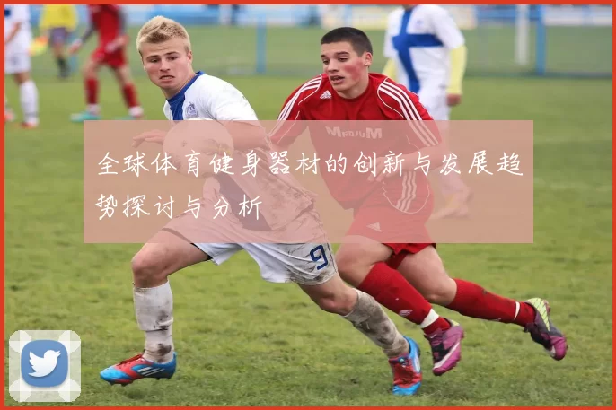 全球体育健身器材的创新与发展趋势探讨与分析
