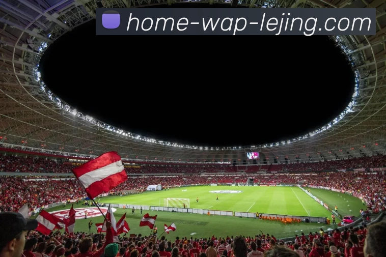 多媒体互动体验